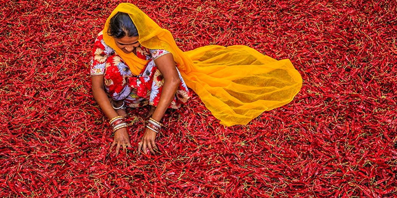 Our Commitment to Responsibility 