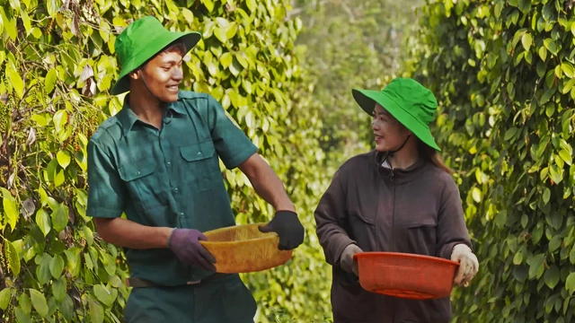 Sustainable Sourcing