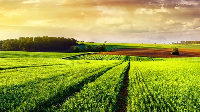 Regenerative Production Systems