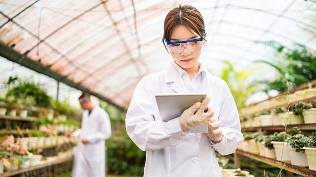 Programme Clean Labellling