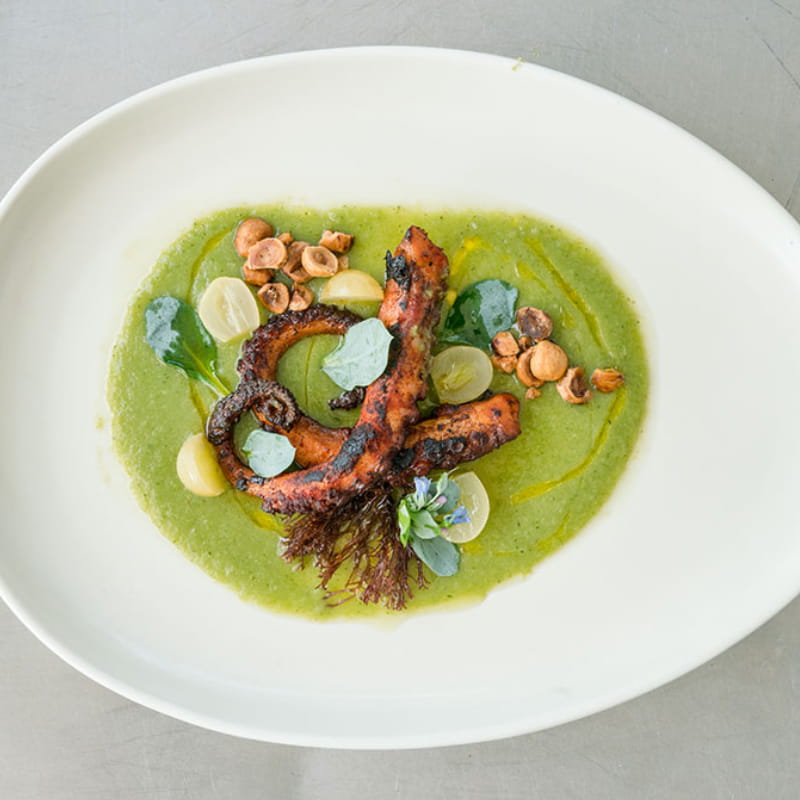 Spanish Octopus in Green Grape Gazpacho