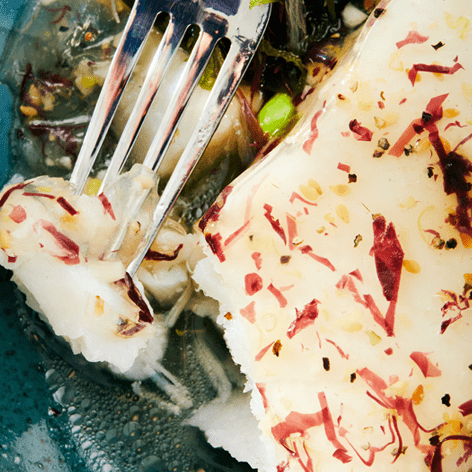 Oceanic Looking Glass Sea Bass