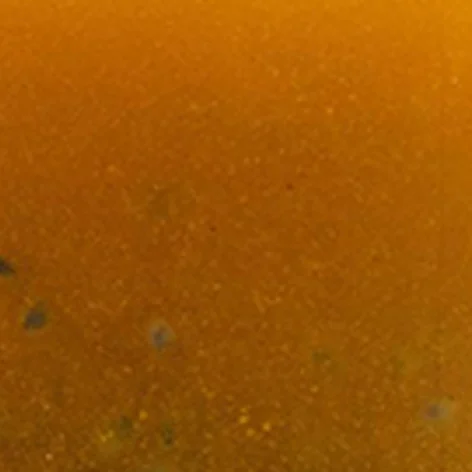 mango_basil_seed_vinaigrette_800